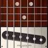 Steel Guitar PRO iPhone / iPad