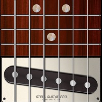 Steel Guitar PRO apk