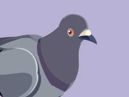 Trash Birds - Funny Realistic Pigeons