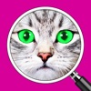 Icon What's the Photo? ~ Free Close up Game Quiz