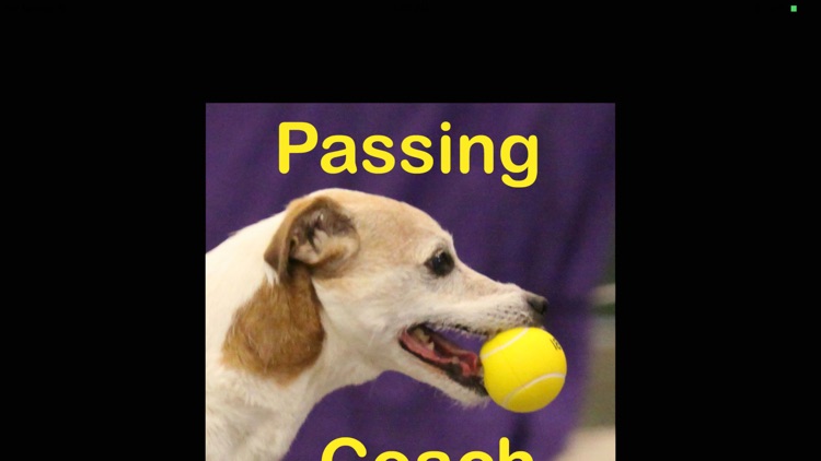 Flyball Passing Coach