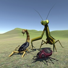 Activities of Bug Battle 3D