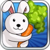 Hungry Bunny Kids Adventure