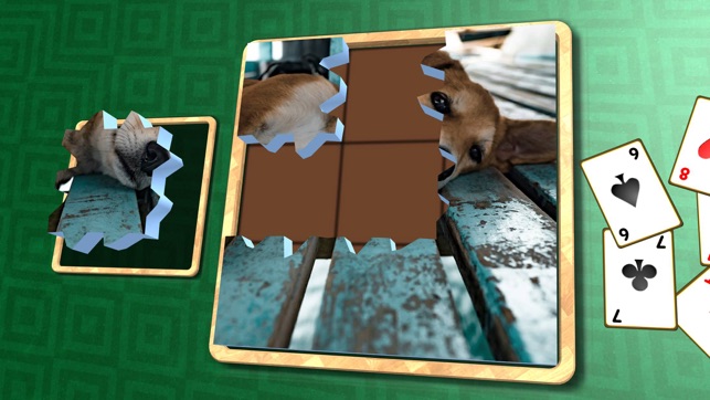 Jigsaw Solitaire Dogs(圖1)-速報App