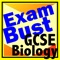 Choose from: GCSE Exam JUMBLE, GCSE Exam REVIEW, and GCSE Exam QUIZ