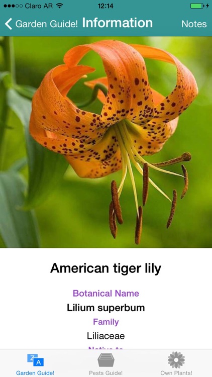 Garden Guide!