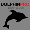 Dolphin Sounds & Whales