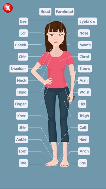 Parts Of Body Lady Name : Women Body Parts Name