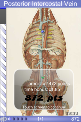 Speed Angiology MD screenshot 2