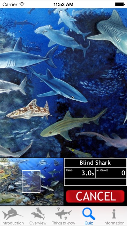 Sharks of the World screenshot-4