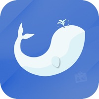 Business card record