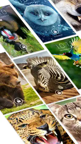 Game screenshot Animal Wallpapers & Backgrounds mod apk