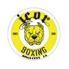 Icor Boxing