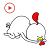 Chicken Funny Animated