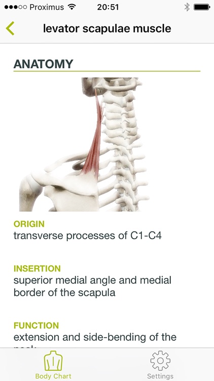 Dry Needling Guide