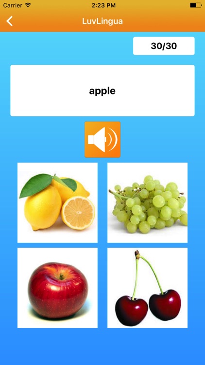 Learn English LuvLingua Pro