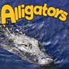 The Alligators