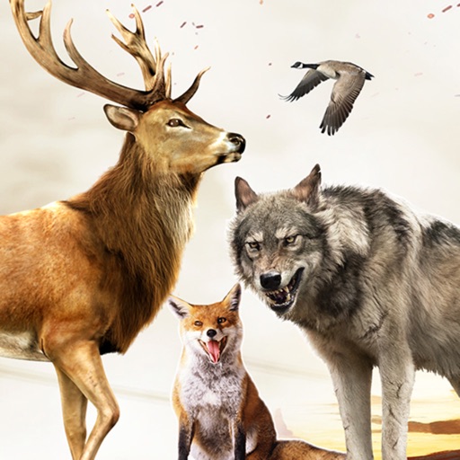 Hunting Animals 3D free download