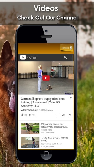 K9 German Shepherds Watch Dogs - Adoption & Rescue(圖3)-速報App