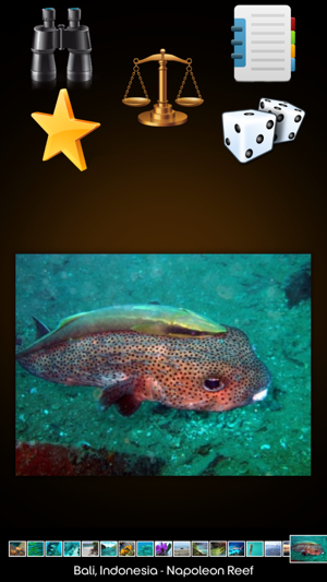 Top Coral Reefs(圖3)-速報App