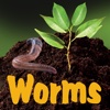 TheWorms