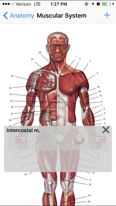 Anatomy Liteのおすすめ画像2