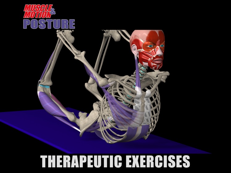 Muscle and Motion - Posture screenshot-3