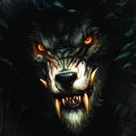 Cool Wolf Wallpapers HD