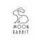 Moon Rabbit is a Vegan Faux Leather brand that is entirely cruelty free