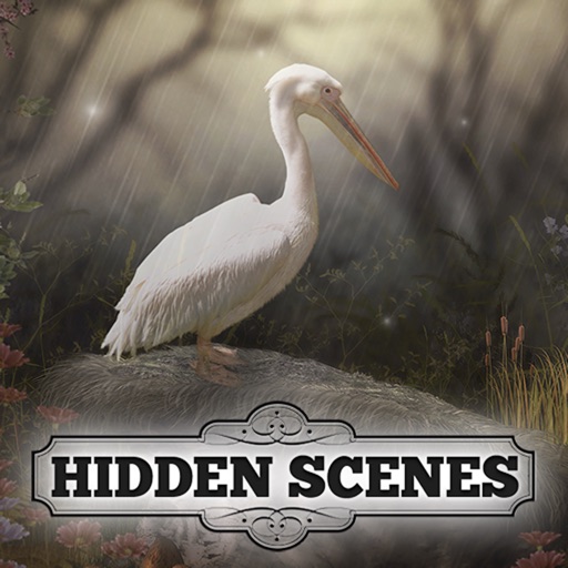 Hidden Scenes - April Showers icon