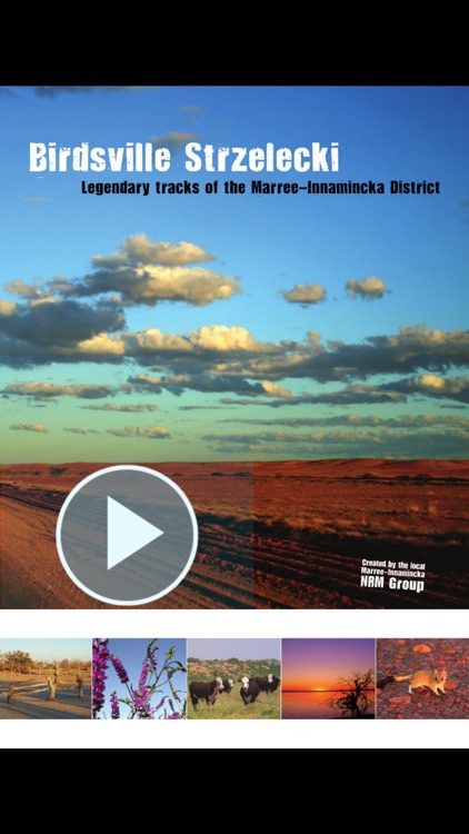 Birdsville & Strzelecki Outback Tracks Guide