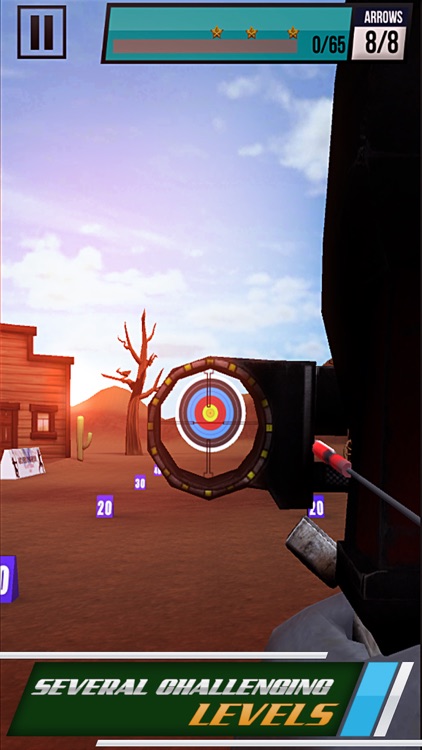 Archery Training Heroes screenshot-4