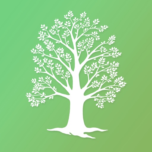 New Life School by Evidence of Faith