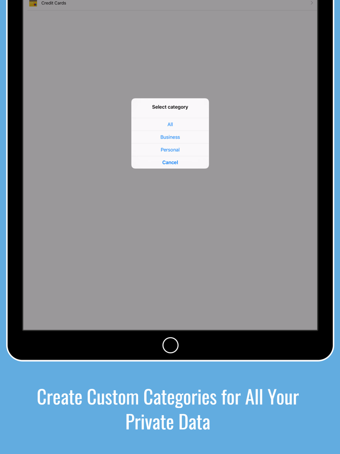Digital Password Safe Box  Encryption Manager