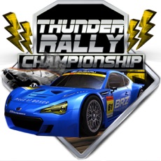 Activities of Car Rally Championship 2017: Thunder Speed Chasers