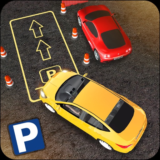 Parking Master 2017 - Car Driving icon