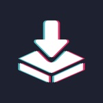 TikSaver Fast Videos