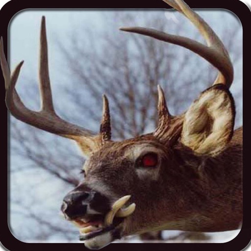 Deer Hunting Simulator Game 3D iOS App