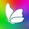 Butterfly HD Colorful Wallpapers | Backgrounds