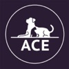 Acepnp - Pet and Plant Sitters