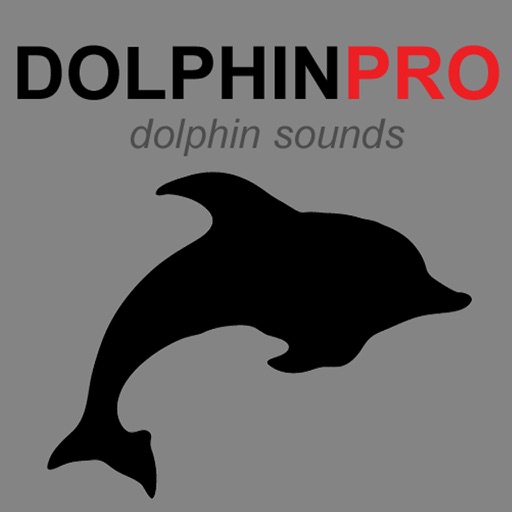 Dolphin Sounds & Whales