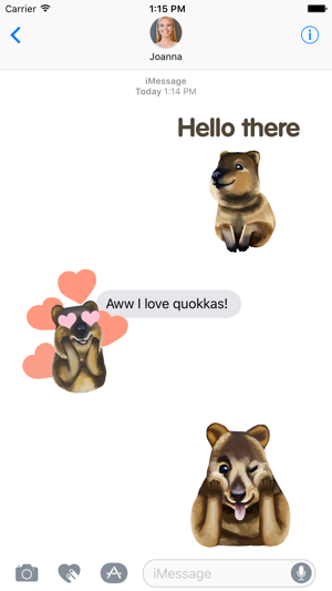 Quokka - The Happiest Animal in the World(圖3)-速報App