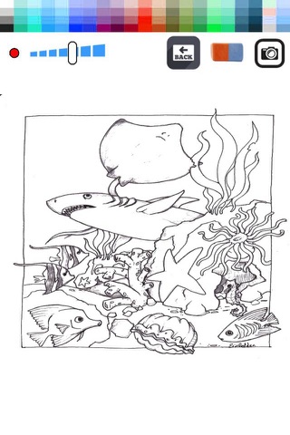 Coloring Books Drawing Ocean - Zoo Animals for kid screenshot 2