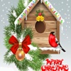 Christmas Cards- Xmas Wallpapers & photo Greetings
