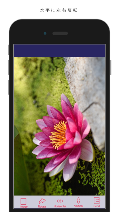 Flipper - 写真を簡単に回転、反転 screenshot1