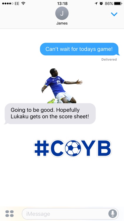 Everton FC Official Stickers