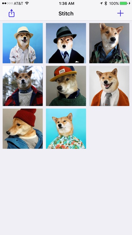 Stitch – Convert photos to PDF