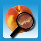 Top 40 Education Apps Like Pests of Stone Fruits - Best Alternatives