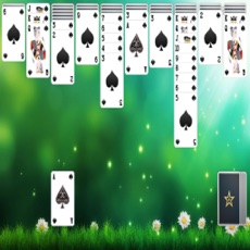 Activities of Spider Solitaire - Card Game