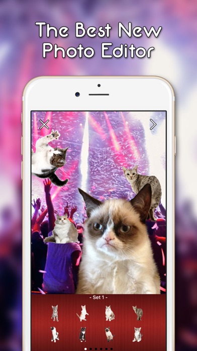 How to cancel & delete KittyGram - Cutest Cats Photo Decorator Free from iphone & ipad 1